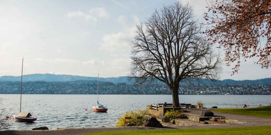 Die Seepromenade in Küsnacht am Zürichsee.