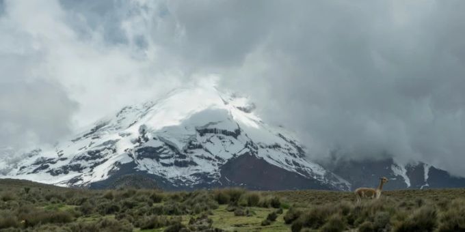 Der Vulkan Chimborazo ist der höchste Berg Ecuadors. vulkan Chimborazo