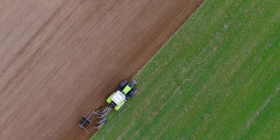 Die EU-Kommission will die Umweltregeln in der Landwirtschaft lockern. So soll kurzfristig die Produktion gesteigert werden. (Archivbild)