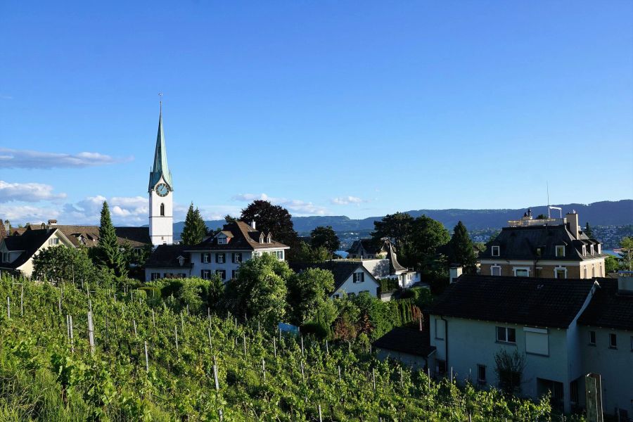 Dorf Kirchturm Schweiz Weinanbau Bäume