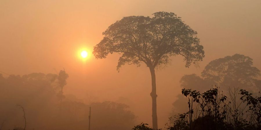 Rauch verhüllt den Blick auf den brennenden Regenwald in Brasilien. Seit der Amtsübernahme des brasilianischen Präsidenten Jair Bosoonaro hat die Zerstörung der riesigen Wälder Brasiliens nach offiziellen Angaben jährlich um 75 Prozent  im Vergleich zum vorherigen Jahrzehnt  zugenommen.