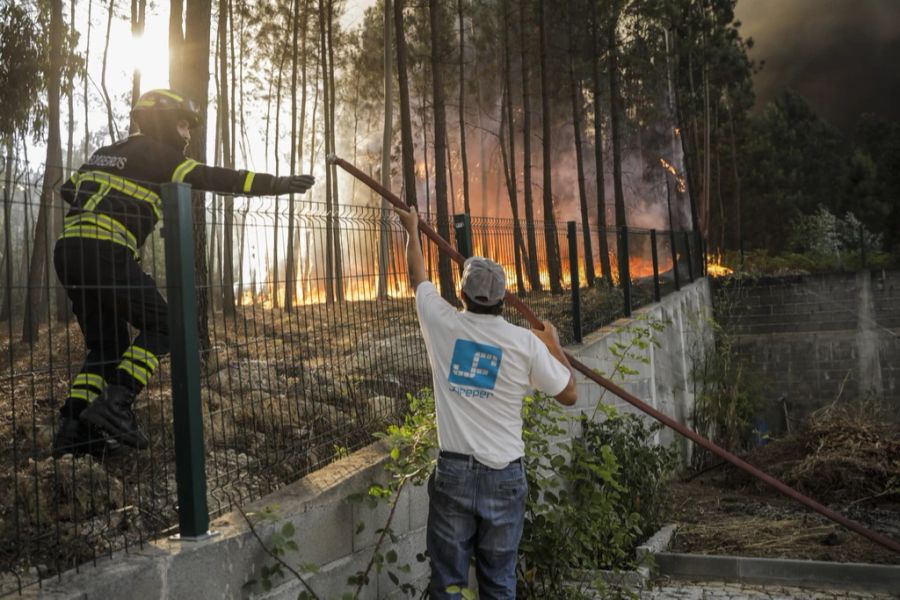 Ein Anwohner und ein Feuerwehrmann kämpfen gegen die verheerenden Waldbrände in Portugal.
