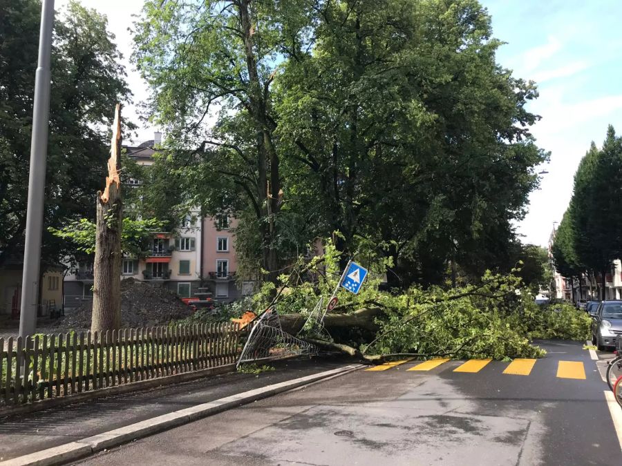 In Luzern liegt ein Baum über der Strasse. (Archivbild)