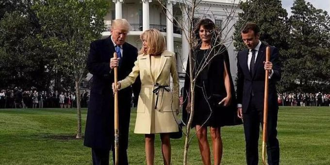 «Hartes Regime» - Macron will Trump eine neue Eiche schenken