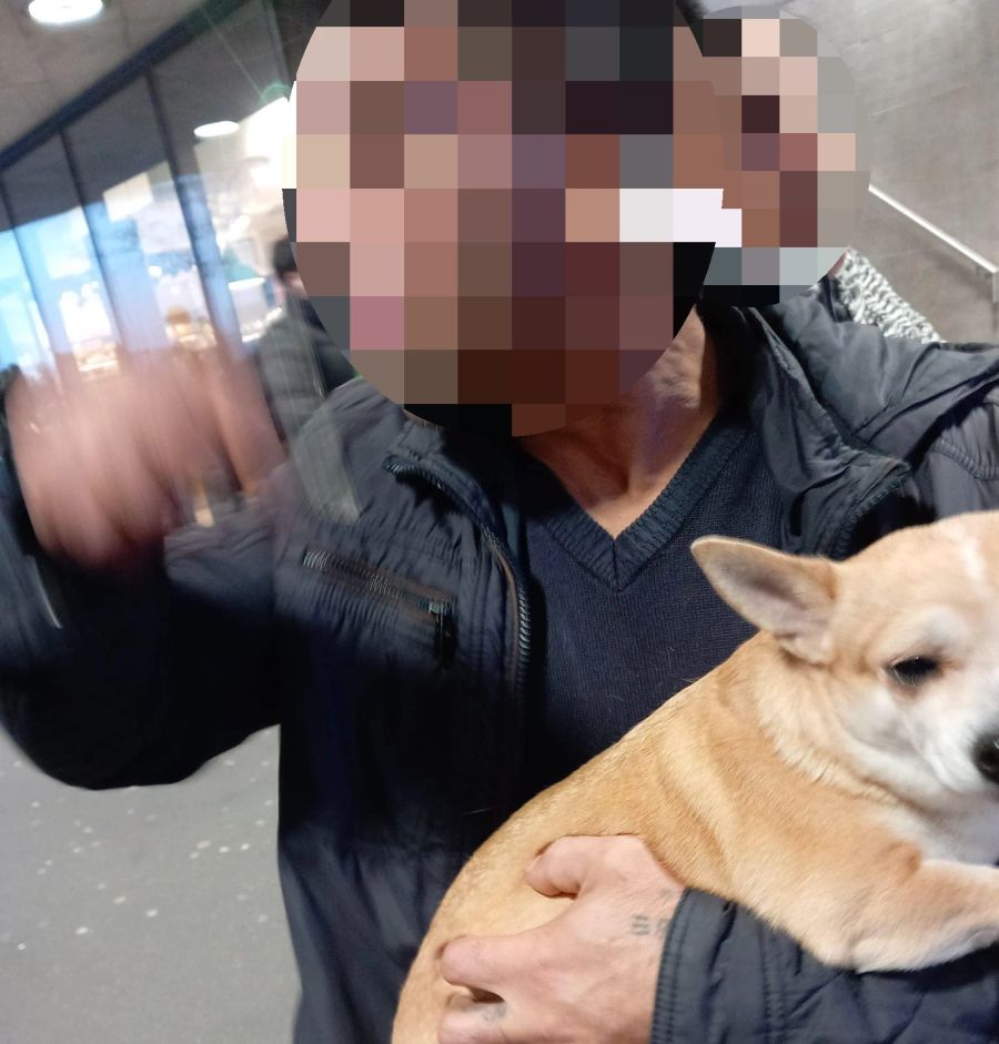 Dreister geht es nicht: Am Dienstagabend klaute ein Unbekannter am Bahnhof Oerlikon ZH einen Chihuahua.