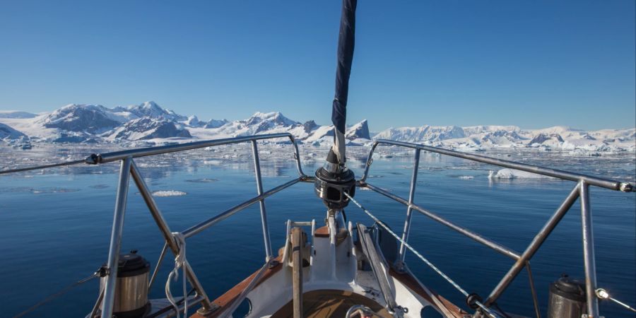 Mit einem Expeditionsschiff können Sie die Antarktis entdecken.