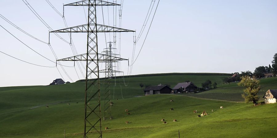 Im Gegensatz zum laufenden Jahr sollen die Strompreise 2025 eher wieder sinken. (Symbolbild)