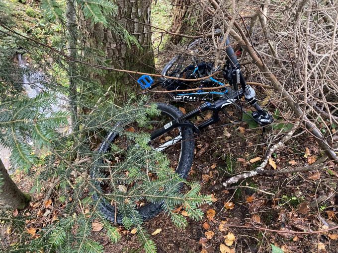 Im Waldstück verstecktes Velo. verstecktes Velo