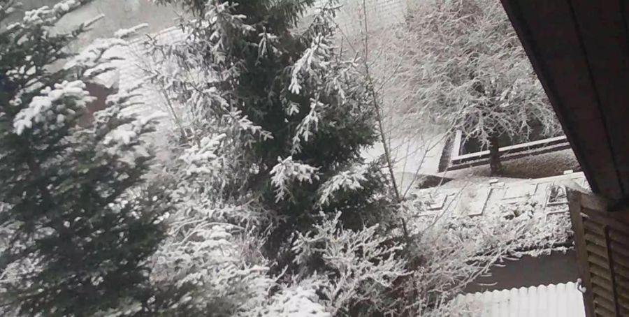 In Brittnau AG kommt richtig Winter-Stimmung auf.