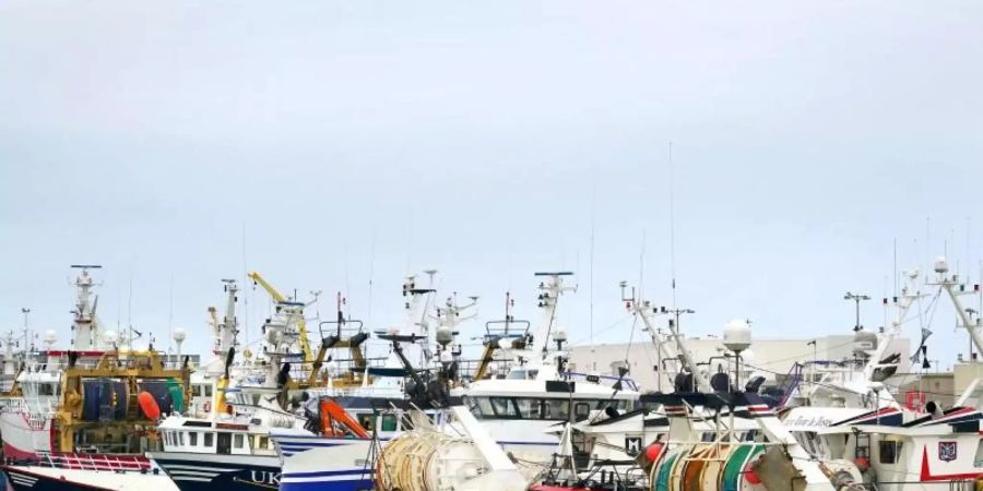 Fischerboote liegen im Hafen von Boulogne. Foto: Gareth Fuller/PA Wire/dpa