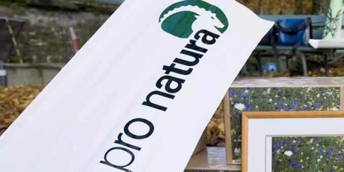 Von der Pro Natura und weiteren Naturschutzverbänden hagelte es dafür scharfe Kritik. blaufluegelige oedlandschrecke