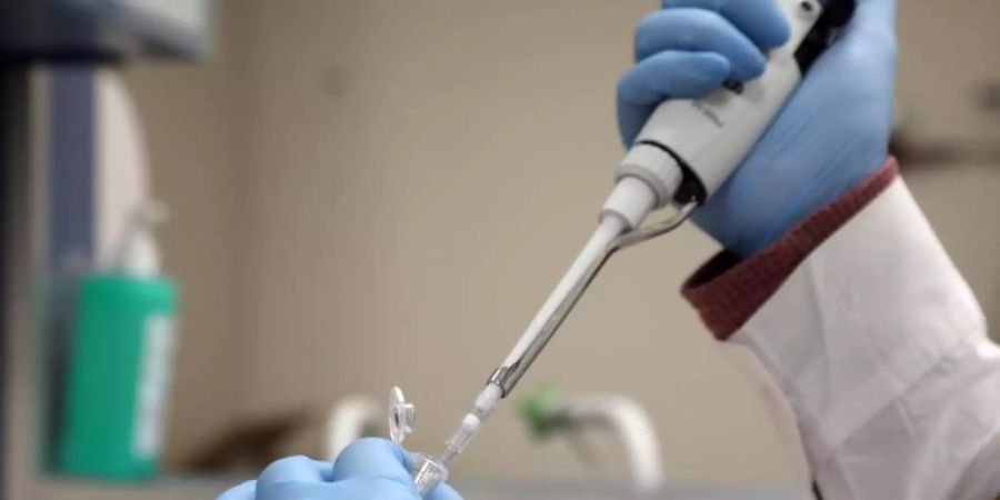 Impfstoffe sollen eine schwächere Immunantwort gegen die Omikron-Virusvariante erzeugen. Foto: Gideon Markowicz/JINI/XinHua/dpa