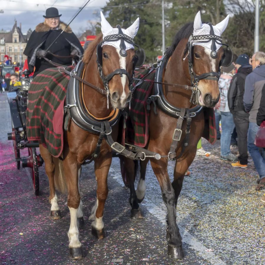 cortège