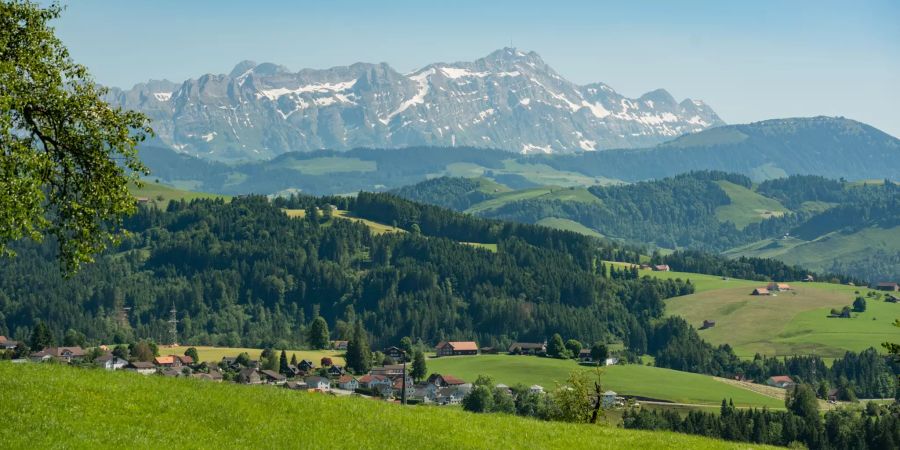 Oberhalb von der Gemeinde Teufen erhebt sich im Hintergrund das Säntismassiv.