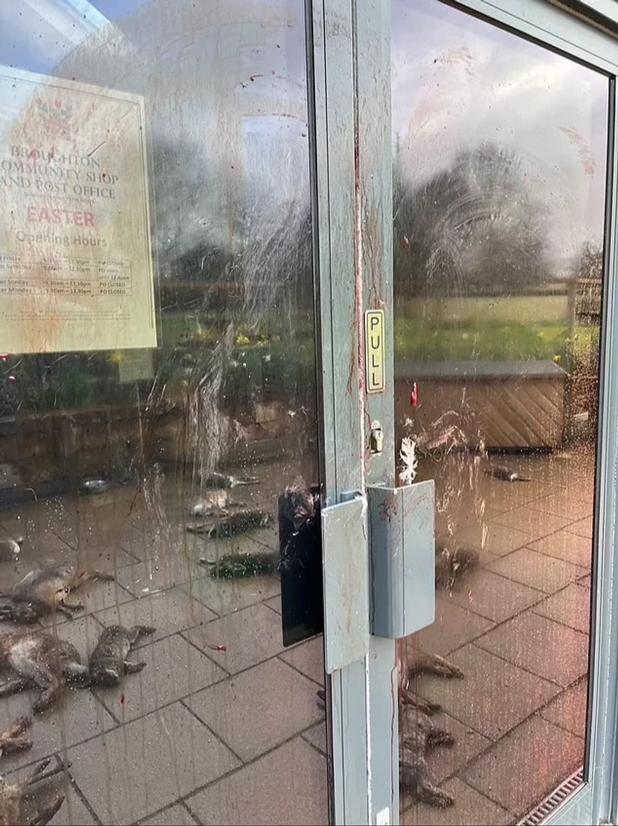 Die Täter gehen immer weiter.