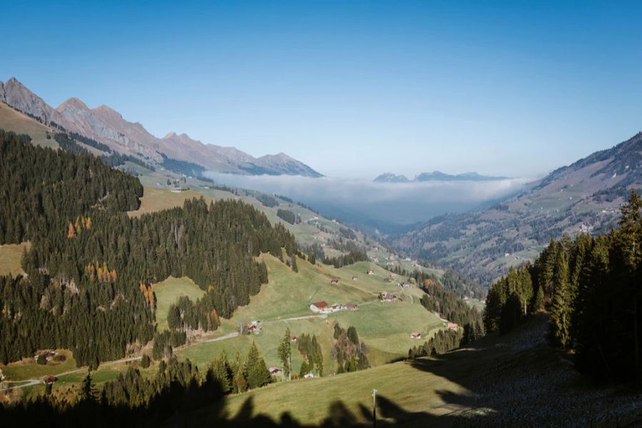 Aussicht vom Alpengarten Adelboden im Berner Oberland.