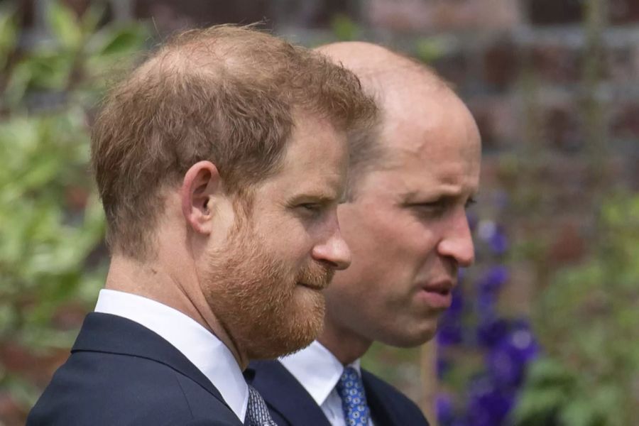 Der Royal hat auf dem Hinterkopf nur noch spärlich Haare.