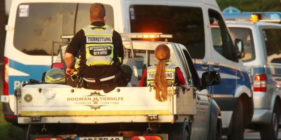 Ein Fahrzeug mit Tierrettern und Tieren verlässt Erftstadt in Nordrhein-Westfalen. Nach der Flutkatastrophe werden viele Tiere ins Tierheim gebracht. Foto: David Young/dpa