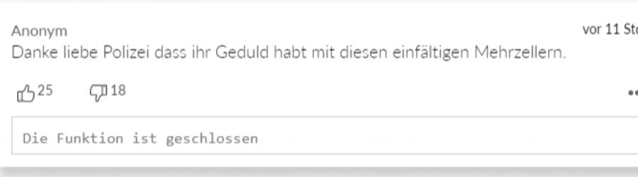 Dieser Kommentator hat nicht viel übrig für die Demonstrierenden.