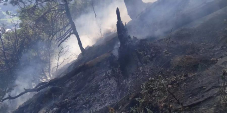 60 Feuerwehrleute sind am Samstag in Cazis GR nach einem Flurbrand in Einsatz gestanden. Aufgrund der Ausweitung des Brandes im unwegsamen Gelände, wurden die Feuerwehren durch zwei Löschhelikoptern unterstützt.