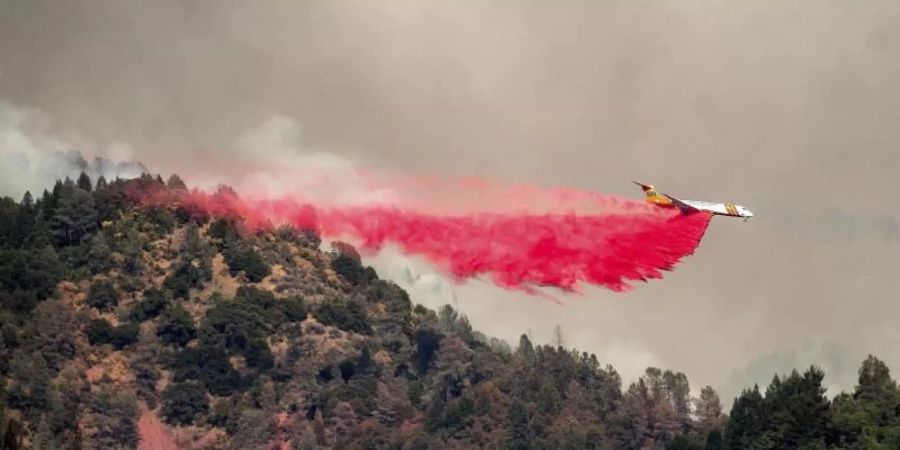 Ein Flugzeug wirft Löschmittel ab, während es versucht, die Ausbreitung des Salt Fire in der Nähe von Lakehead in Kalifornien zu stoppen. Foto: Noah Berger/AP/dpa