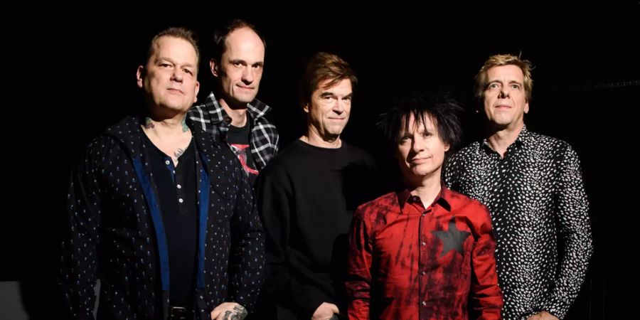 die toten hosen