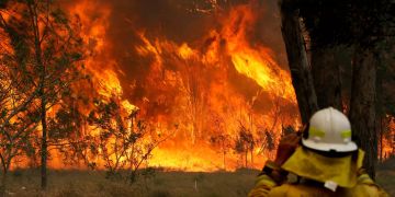 buschfeuer australien