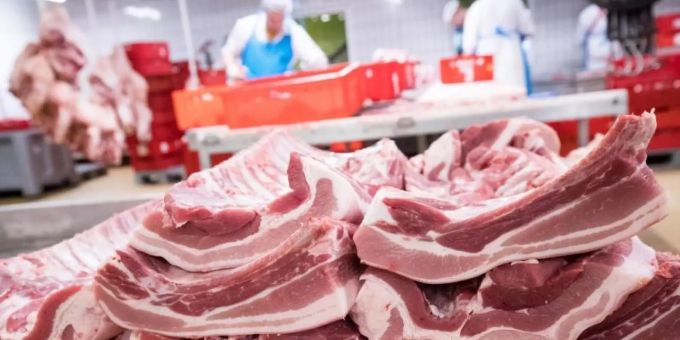 Rippen und Bauchfleisch vom Schwein werden in einem Zerlegebetrieb auf dem Gelände des Fleischgrossmarkts (FGH) verarbeitet. Foto: Christian Charisius/dpa Rippen und Bauchfleisch vom Schwein werden in einem Zerlegebetrieb auf dem Gelände des Fleischgrossmarkts (FGH) verarbeitet. Foto: Christian Charisius/dpa