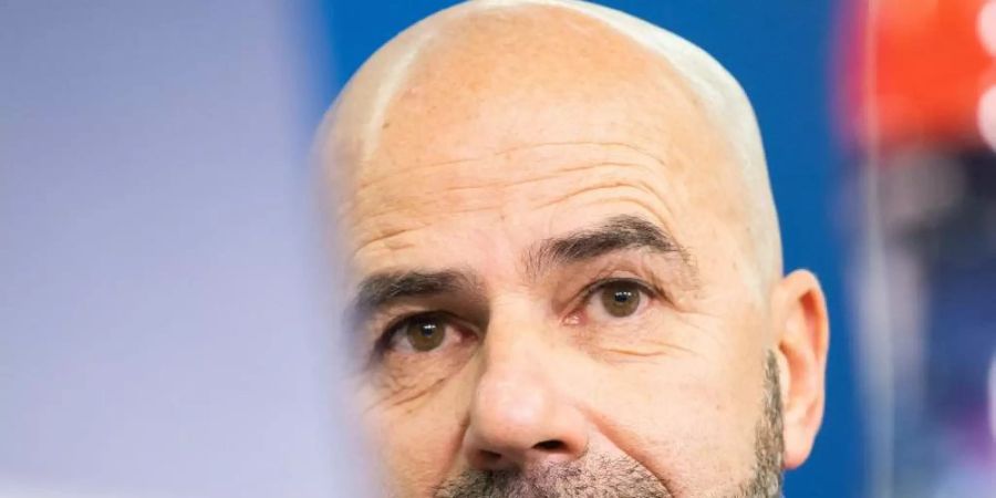 Trainer Peter Bosz braucht mit Bayer Leverkusen gegen Atlético Madrid einen Sieg. Foto: Marcel Kusch/dpa