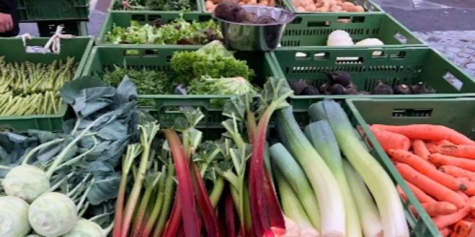 Regionales und saisonales Gemüse auf dem Stadtmarkt.