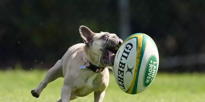 Rugby