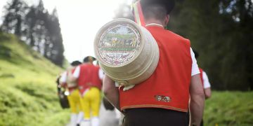 alpabfahrt alpaufzug