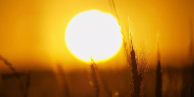 US-Forscher: Klima hat geringen Einfluss auf das Coronavirus. Sommer, Coronavirus