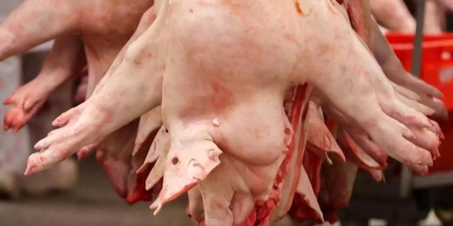 Schweinehälften hängen in einem Schlachtbetrieb. Die Agrarminister der Länder wollen an diesem Freitag über die angespannte Lage am Schweinemarkt beraten. Foto: Jan Woitas/dpa-Zentralbild/dpa