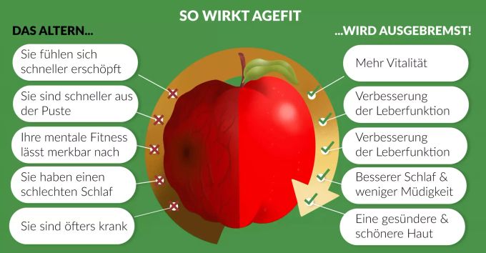 So wirkt Agefit im Detail. Helvilab AG