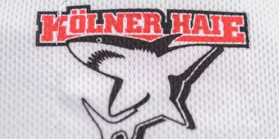 Die Kölner Haie haben mit über 13.000 Fans den höchsten Zuschauerschnitt aller deutschen Sportclubs ausserhalb des Fussballs. Foto: picture alliance / dpa
