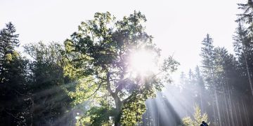 Wärmer und sonniger