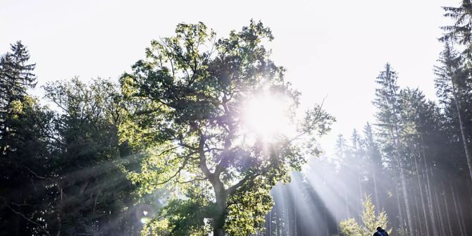 Wärmer und sonniger