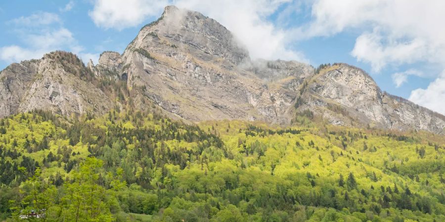 Der Berggipfel Gonzen in Sargans im Kanton St. Gallen.