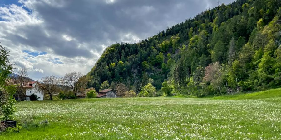 Landschaftsfoto bei Tamins.