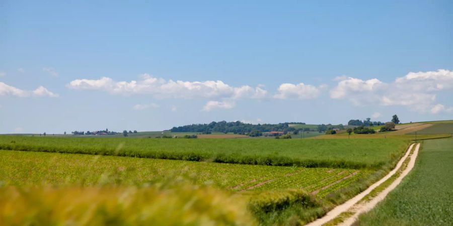 Landschaftaufnahme bei Neunkirch.