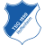 1899 Hoffenheim Logo