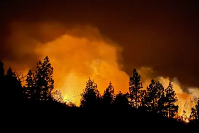 Waldbrand La Palma