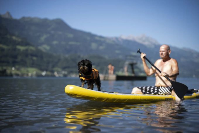 Ein Mann geniesst mit seinem Hund das schöne Wetter auf dem Wasser. Hasutier