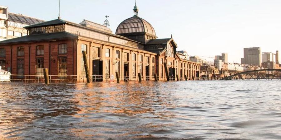 Nah am Wasser gebaut: Die Fischauktionshalle wird regelmässig vom Hochwasser der Elbe überflutet. Foto: Daniel Bockwoldt/dpa