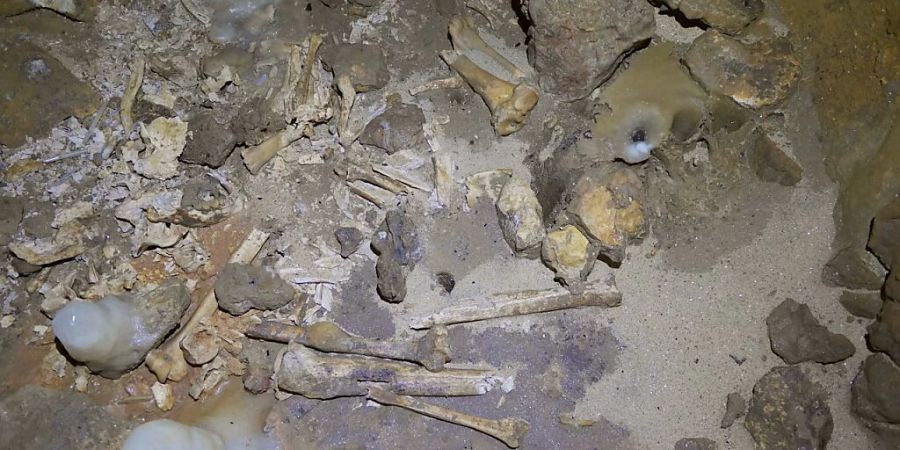 Menschen- und Tierknochen in der neu entdeckten bronzezeitlichen Höhle nahe La Rochefoucauld-en-Angoumois. Es handelt sich um eine der grössten bisher gefundene prähistorische Grabstätten im an solchen Stätten reichen Frankreich (Pressebild).