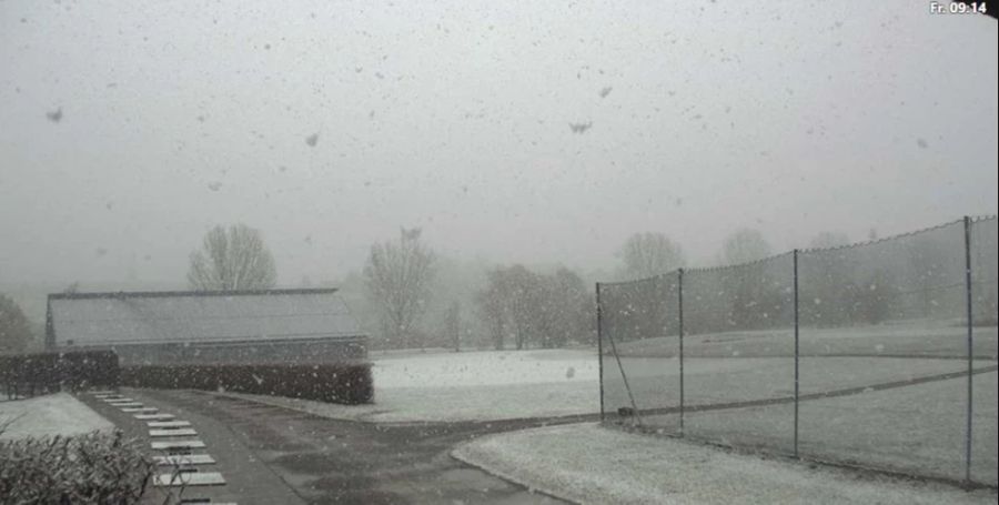 Hier fliegen keine Golfbälle sondern Schneeflocken: Der Golfplatz in Münchenbuchsee BE (564 Meter über Meer)