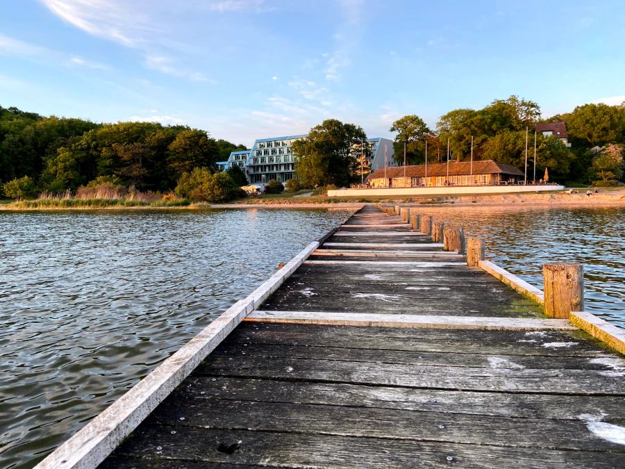 Meer Strand Holzsteg Gebäude Wald