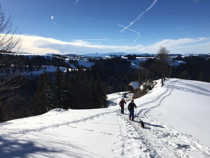 Die Rundwanderung ist etwas über sechs Kilometer lang. BLS Winterausflüge Truber Schneeschuhtrail