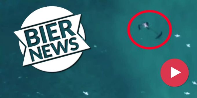 Hai-Attacke! - Drohnen-Pilot rettet Taucher aus brenzliger Situation